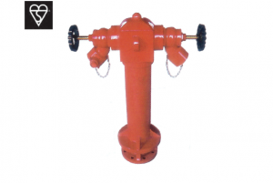 2 WAY WET PILLAR HYDRANT